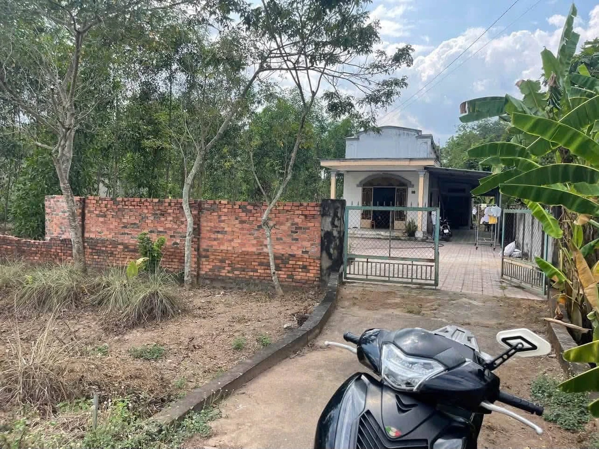 Bán nhà vườn mặt tiền Phùng Hưng An Viễn 4.296m² 7.5 tỷ - Ảnh thu nhỏ 3