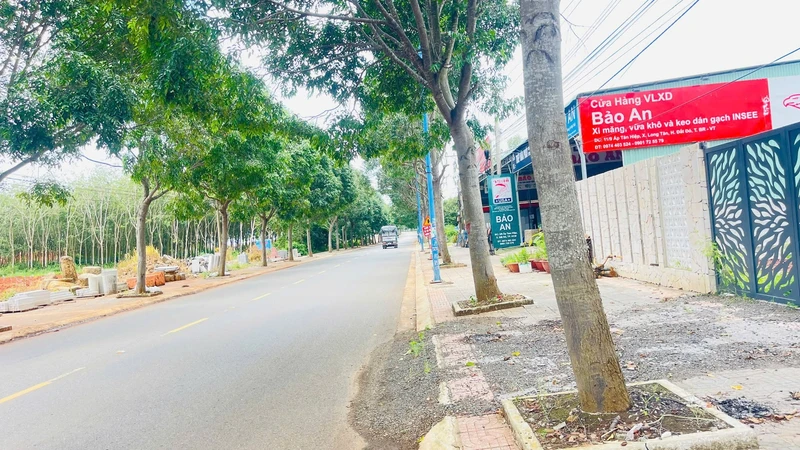 Bán đất mặt tiền Tỉnh lộ 52, Long Tân, Đất Đỏ, Bà Rịa Vũng Tàu, 1260m2, 8,5 tỷ
