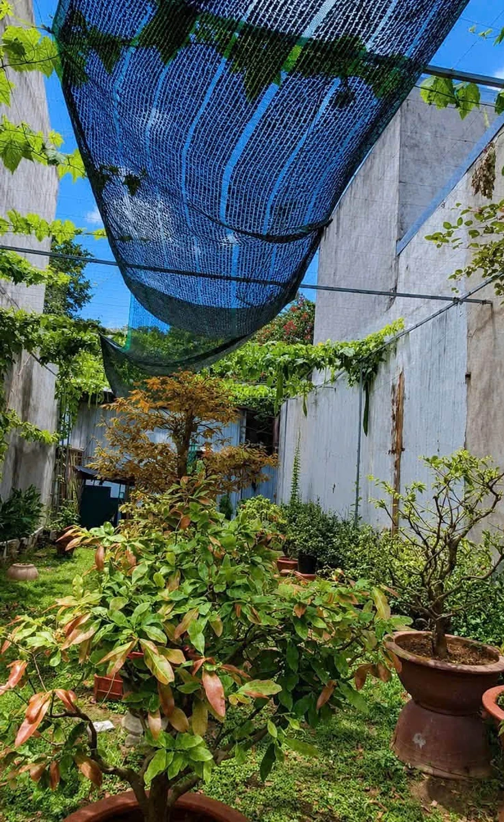 Bán đất 2 mặt tiền 146m2 khu cư xá giáo viên gần trường Trấn Biên, Phường Tam Hiệp - Ảnh thu nhỏ 5