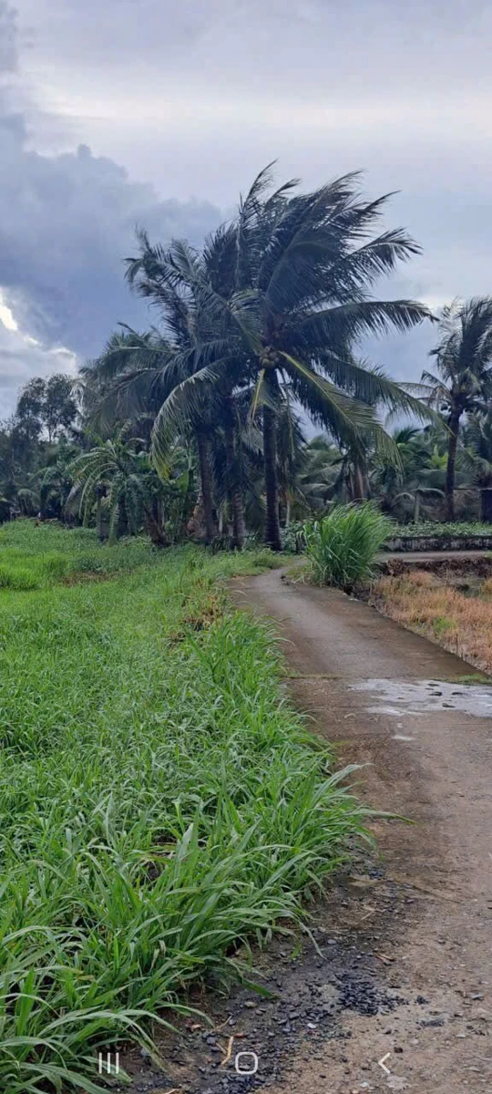Bán 2000m² đất vườn 2 mặt tiền tại Tân An, Long An - Ảnh thu nhỏ 3