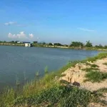 Bán đất cây trồng 200m2 tại Hàm Liêm, Khánh Hòa 180 triệu - Ảnh thu nhỏ 4