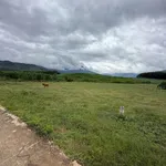 Bán 2 lô đất Khánh Thượng mỗi 1000m2 giá 199 triệu - Ảnh thu nhỏ 1