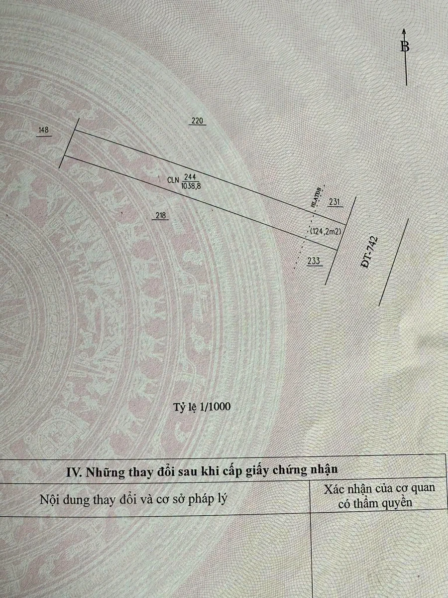 Bán gấp lô đất 10x105m mặt tiền ĐT 742 Tân Uyên Bình Dương - Ảnh thu nhỏ 3