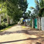 Nhà mặt tiền Krông A 5x50m, 3PN, 2,45 tỷ - Ảnh thu nhỏ 1