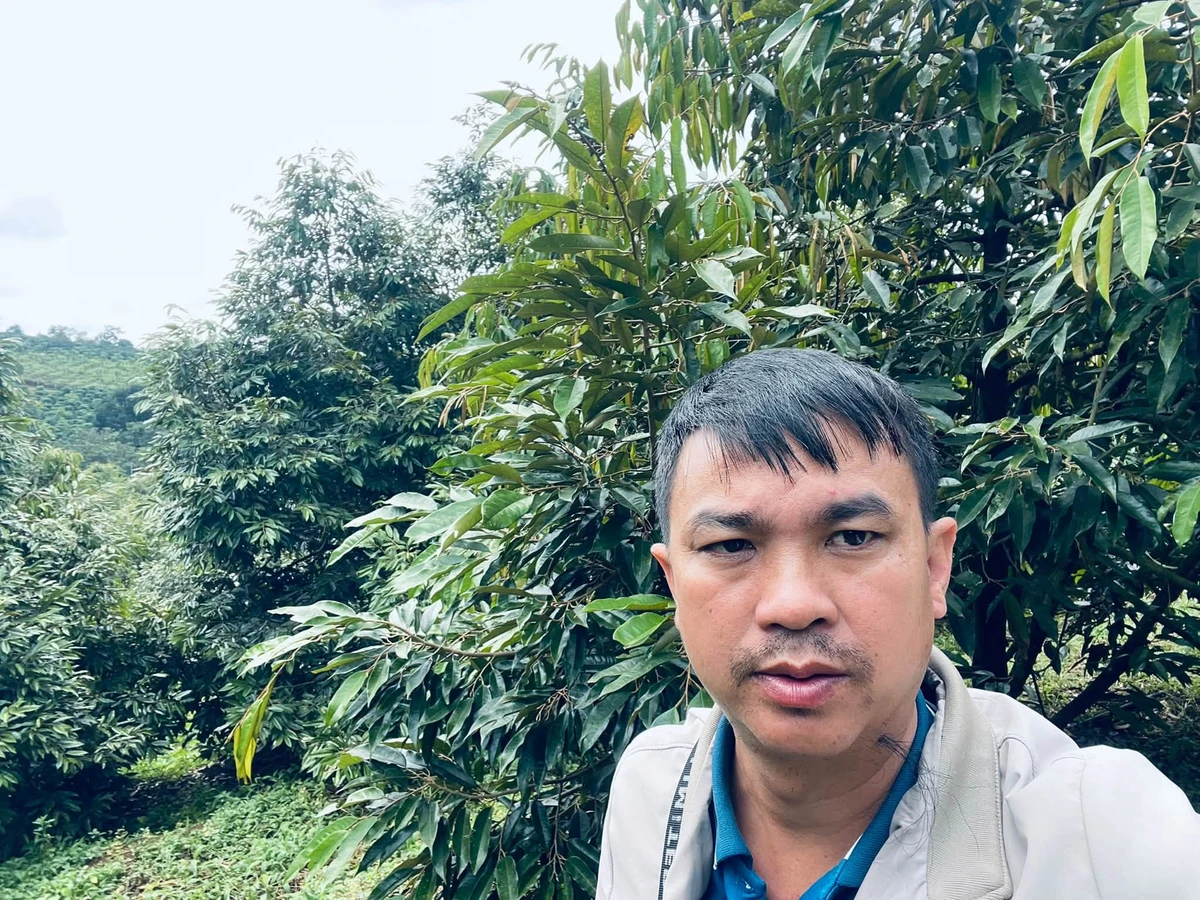 Bán đất vườn 5 hecta trồng cà phê, sầu riêng Đắk Nông - Ảnh thu nhỏ 4