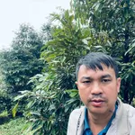 Bán đất vườn 5 hecta trồng cà phê, sầu riêng Đắk Nông - Ảnh thu nhỏ 4
