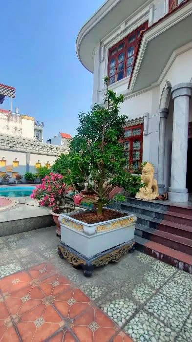 Bán biệt thự nghỉ dưỡng 1000m2 có hồ bơi đường Hồ Bá Phấn, Thủ Đức, giá 81 tỷ - Ảnh thu nhỏ 2