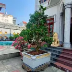 Bán biệt thự nghỉ dưỡng 1000m2 có hồ bơi đường Hồ Bá Phấn, Thủ Đức, giá 81 tỷ - Ảnh thu nhỏ 2
