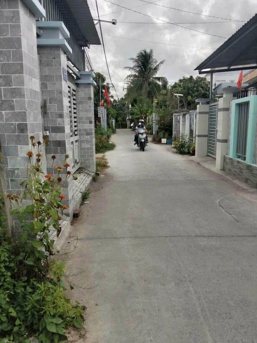 Bán nền đất 150m² tại xã Bình Phú, Vĩnh Long - Ảnh thu nhỏ 3