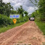 Vườn vải full siêu đẹp chỉ 6xxtr - Ảnh thu nhỏ 2