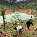 Bán đất 2.8 ha Mai Anh Đào view rừng Đa Nhim Lạc Dương - Ảnh thu nhỏ 3