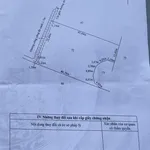 Bán nhà sân vườn 1.261 m² Phước Lợi Bến Lức Long An - Ảnh thu nhỏ 3