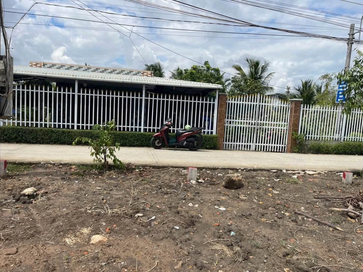 Bán 2 nền đất thổ cư 120m2 mặt tiền Đê Ấp 3 Cần Giuộc - Ảnh thu nhỏ 3