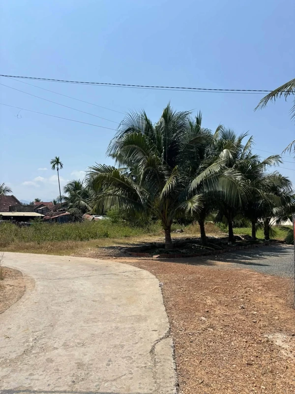 Bán đất 93m² Ninh Trung 218 triệu
