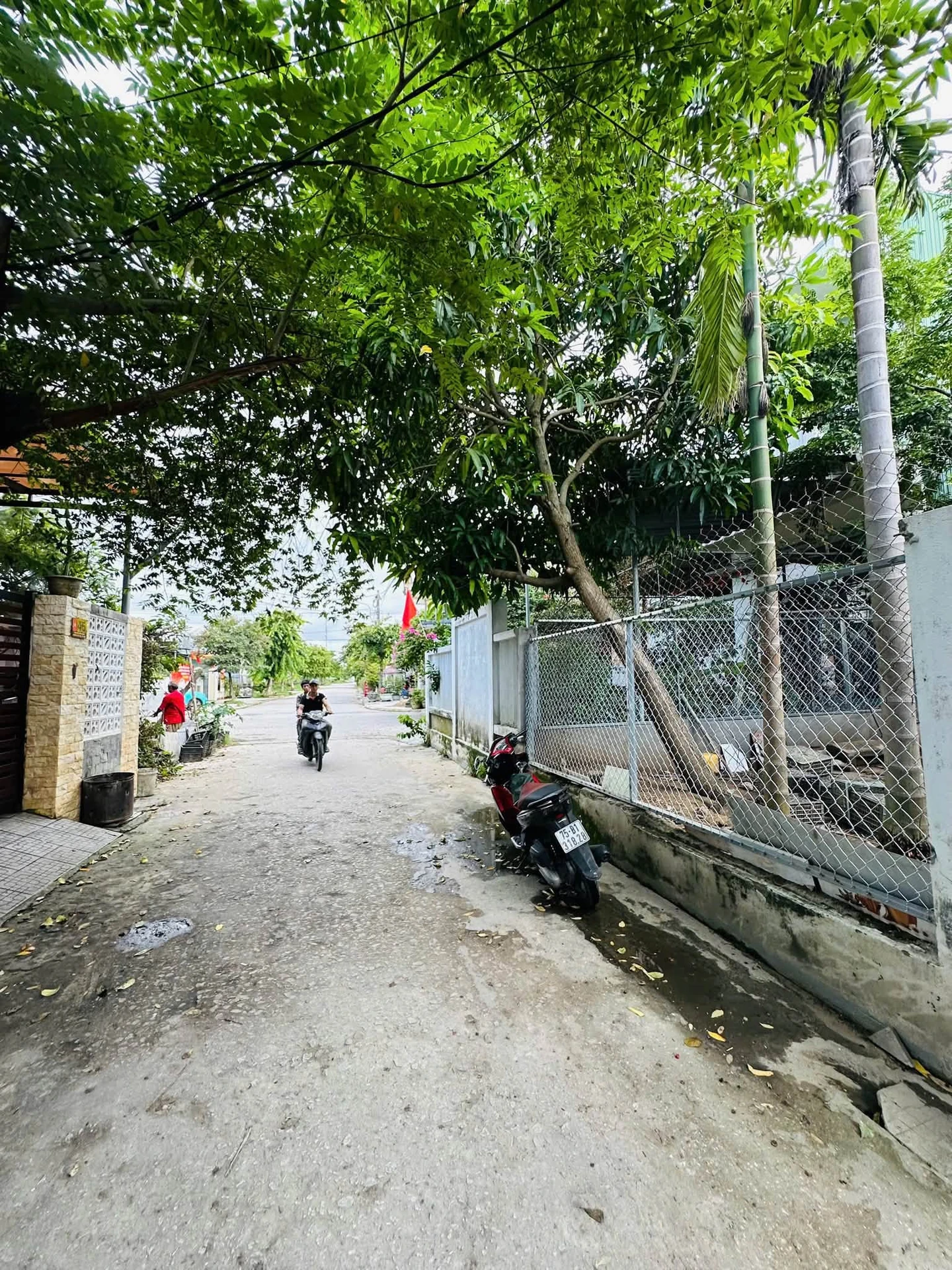 Bán nhà mặt tiền Nguyễn Viết Song 100m2 Huế 2,5 tỷ - Ảnh 1