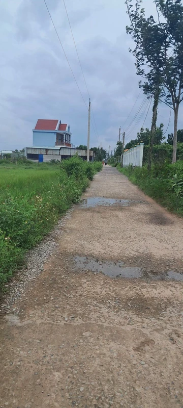 Bán lô đất thổ cư 100m² Bình An, Hàm Chính, Bình Thuận