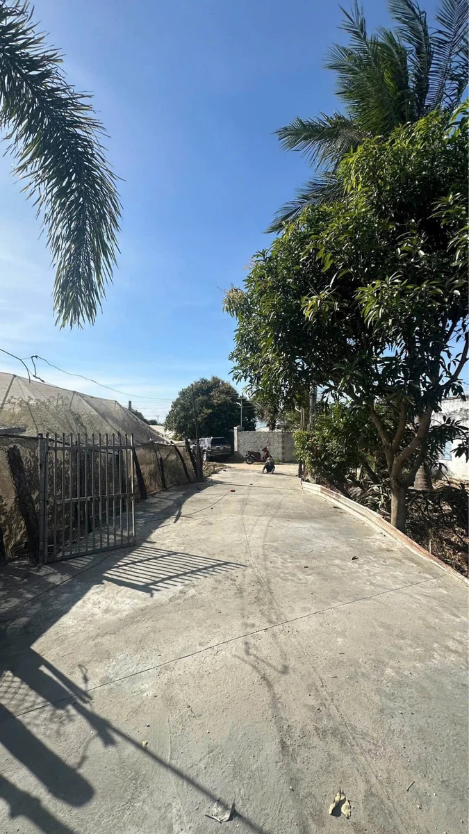 Bán 2 lô đất nông nghiệp Khánh Hòa 358-370m², giá 680-780 triệu - Ảnh thu nhỏ 2