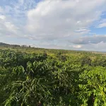 Bán đất vườn cà phê, tiêu 1,2 ha có 2 ao hồ tại xã Long Sơn, Đắk Mil, Đắk Nông - Ảnh thu nhỏ 3