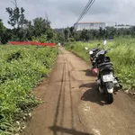 Bán 1 sào đất nông nghiệp Cần Giờ 1 tỷ 650 triệu - Ảnh thu nhỏ 3