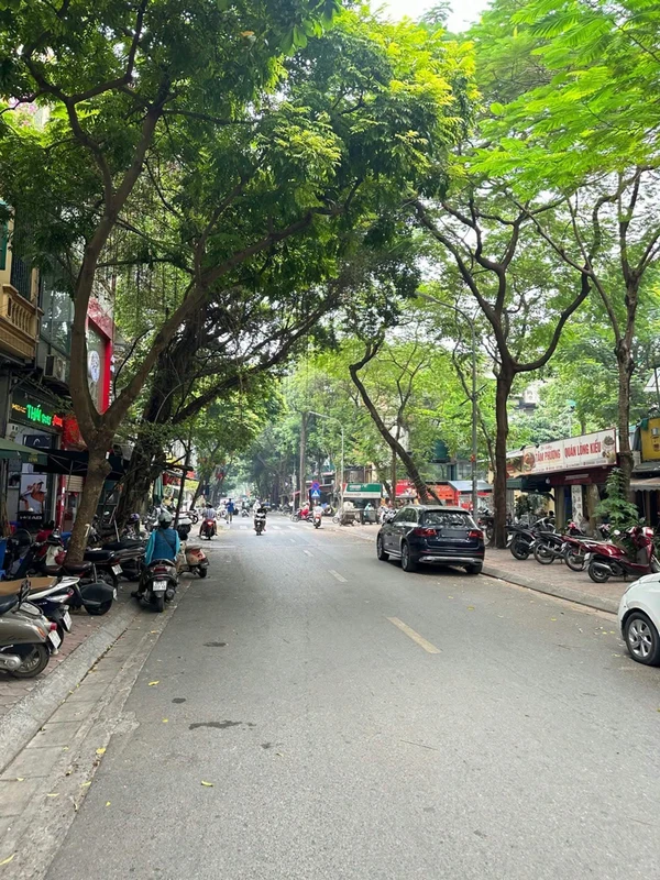 Bán shophouse mặt phố Trần Tử Bình 65m², 7 tầng