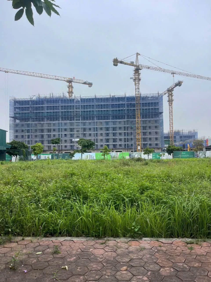 Bán lô đất 90m2 Đường Bằng Lăng 1, Hải Dương - Ảnh 1