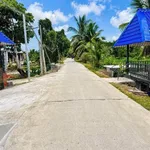 Bán nhà vườn view sông 746m² Bình Đức, Tây Ninh - Ảnh thu nhỏ 1