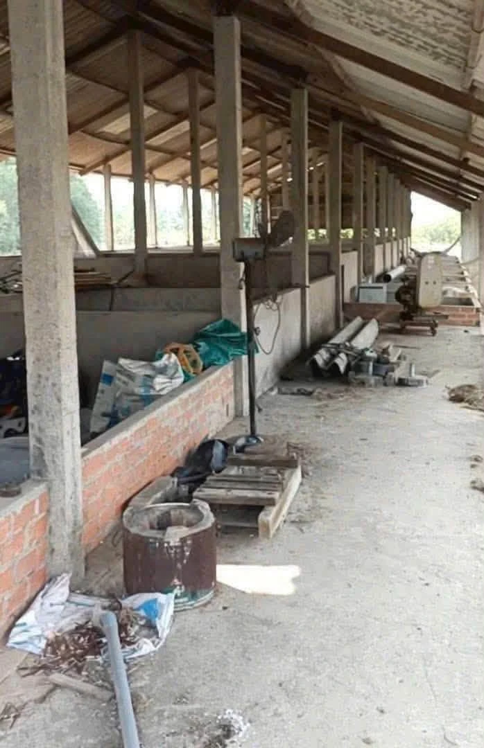 Bán trang trại 10.000m² Mỹ Thạnh Tân Trụ - 6,499 tỷ - Ảnh 1