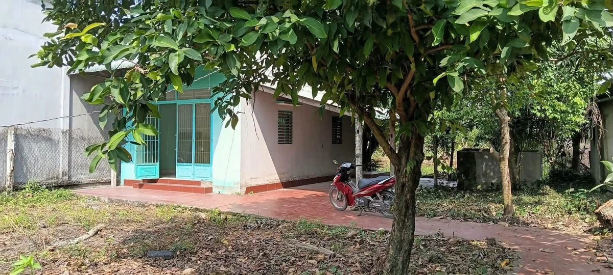 Bán đất 1000m² xã Tân Trạch Cần Đước Long An 2,8 tỷ - Ảnh thu nhỏ 4