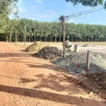 Bán đất thổ cư 5x92m giá 250 triệu tại Châu Thành, Tây Ninh - Ảnh thu nhỏ 2