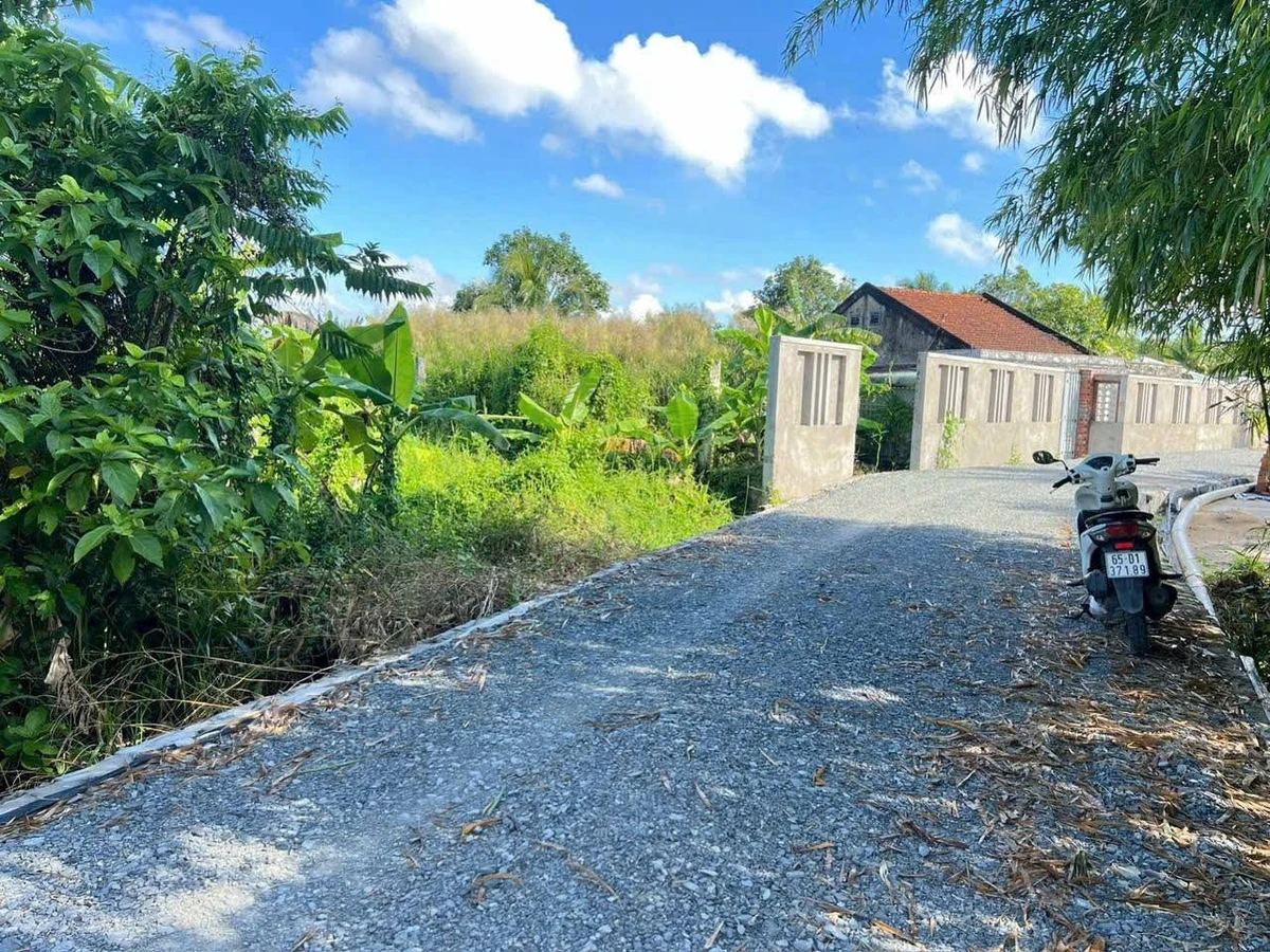 Bán nền mặt tiền Rạch Ông Kinh 325m² Nguyễn Văn Linh Nhà Bè - Ảnh thu nhỏ 3