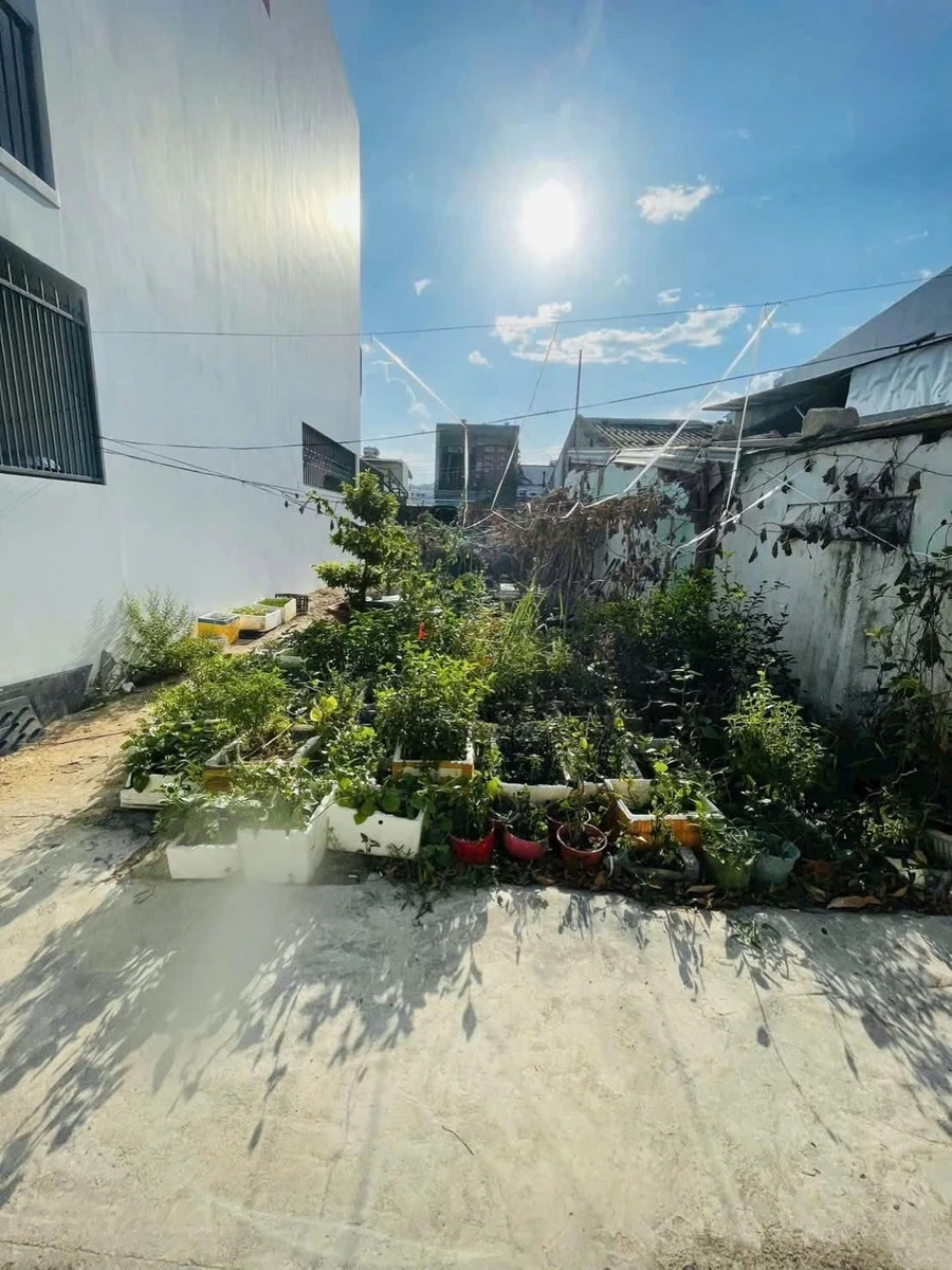 Bán đất Nha Trang 225m2, 1 tỷ 820 triệu - Ảnh thu nhỏ 2