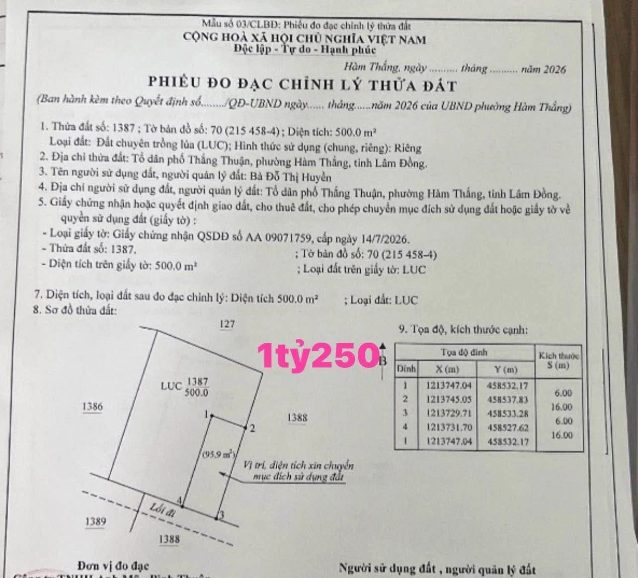 Bán đất 500m2 tại Hàm Thắng, Bình Chánh 1 tỷ 250 triệu - Ảnh 1