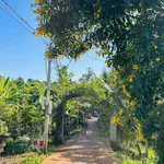Bán đất 785m² đường 19 Tháng 5, 790 triệu - Ảnh thu nhỏ 1