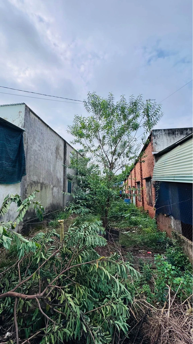 Bán nền đất 100m² full thổ cư Xuân Quế, Đồng Nai - Ảnh thu nhỏ 5