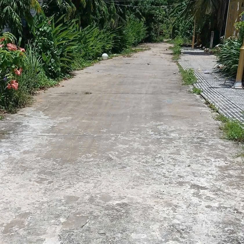Bán nền biệt thự 774 m² Phú An Hòa Bến Tre - Ảnh thu nhỏ 2