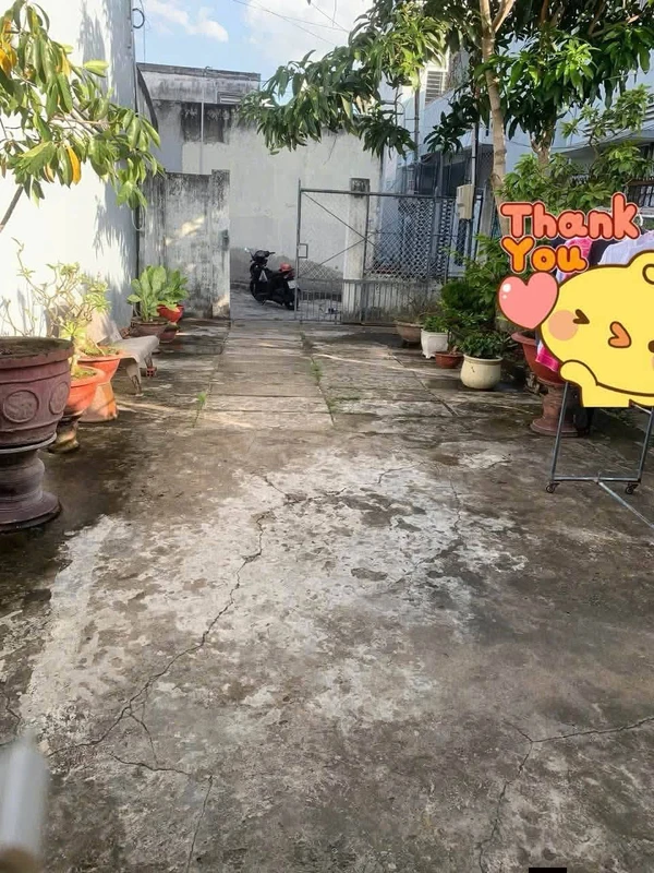 Bán nhà cấp 4 113m2 thổ cư, 3 phòng ngủ, giá 1,3 tỷ tại Phường 1, TP Bến Tre