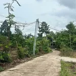 Bán đất 125m² ấp Phượng Vỹ Hóc Môn 330 triệu - Ảnh thu nhỏ 2