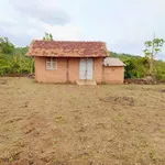 Bán đất làm nhà vườn hoặc kho 1.155m² Bình Chánh - Ảnh thu nhỏ 3