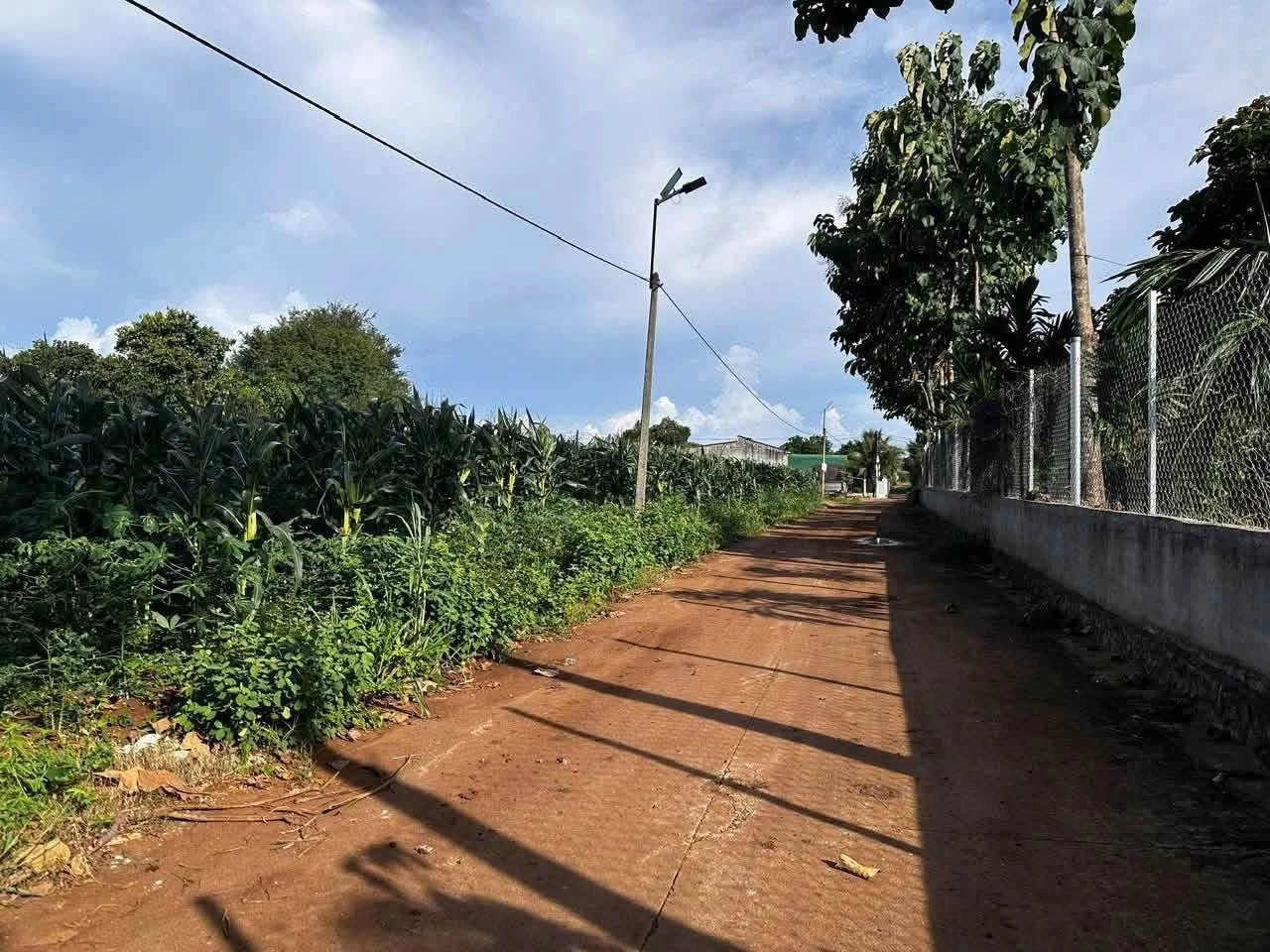 Bán 2 lô đất 5x30m xã Hòa Phú Quốc Lộ 14 - Ảnh 1
