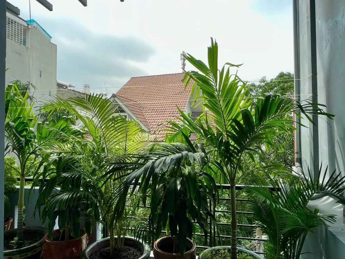 Bán nhà phố HXH 4 tầng 4PN 63m² Bình Thạnh 11 tỷ - Ảnh thu nhỏ 5