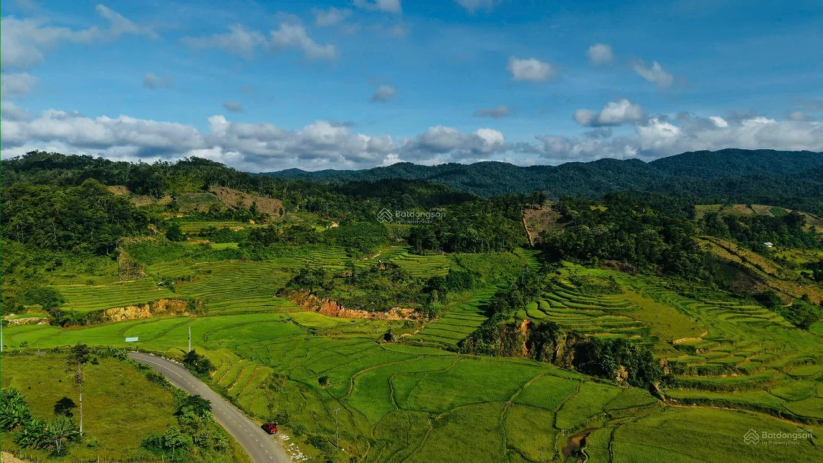Bán đất Măng Đen diện tích 1.157,5m² - giá 2,2 tỷ - Ảnh thu nhỏ 2