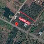Bán đất Cẩm Mỹ Đồng Nai 5500m2 full hồng 12 tỷ - Ảnh thu nhỏ 3