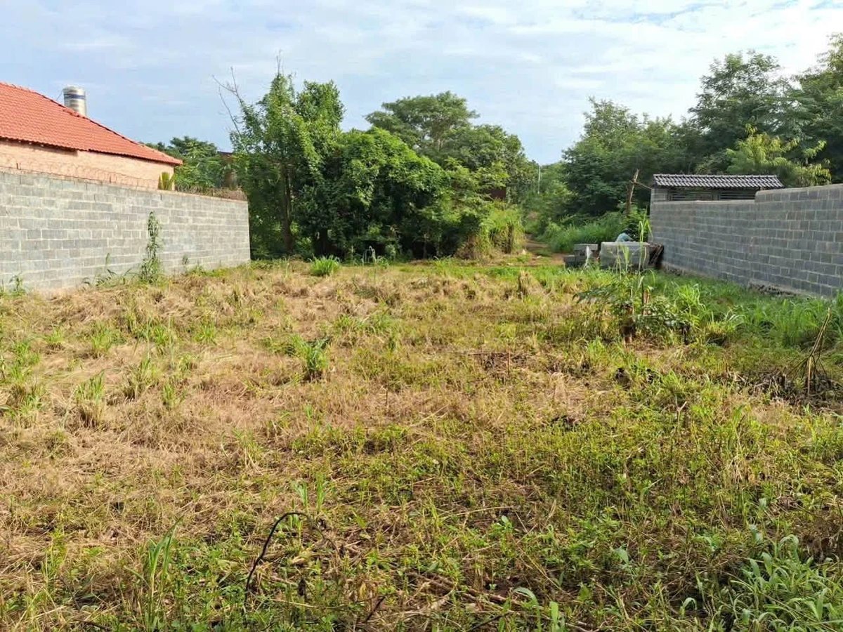 Bán lô đất nông nghiệp 390m² Nguyễn Thị Định, Đắk Lắk - Ảnh thu nhỏ 2