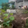 Bán nhà riêng tại 15 Thủ Khoa Huân, 1,2 tỷ, 66,1m2 view đẹp uy tín - Ảnh thu nhỏ 4