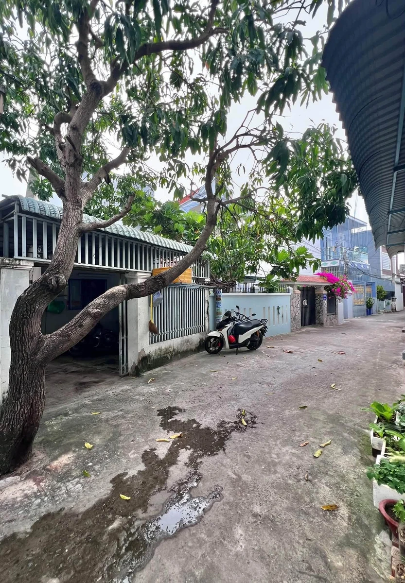 Bán dãy trọ 11 phòng Phan Thiết 273m² giá 3.6 tỷ - Ảnh 1