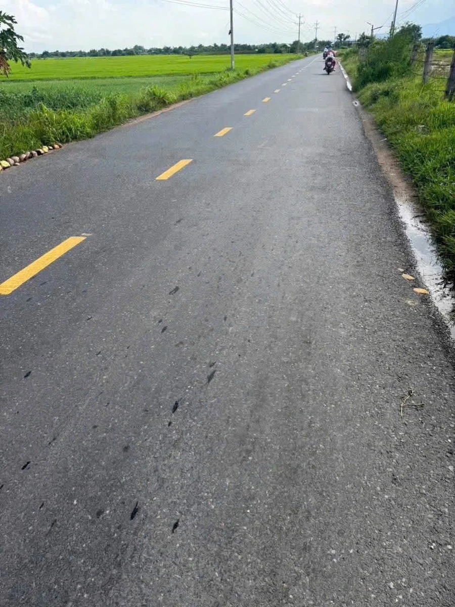 Bán đất 315m mặt tiền Lê Quý Đôn, Lâm Đồng - 1 tỷ 150 triệu - Ảnh 1