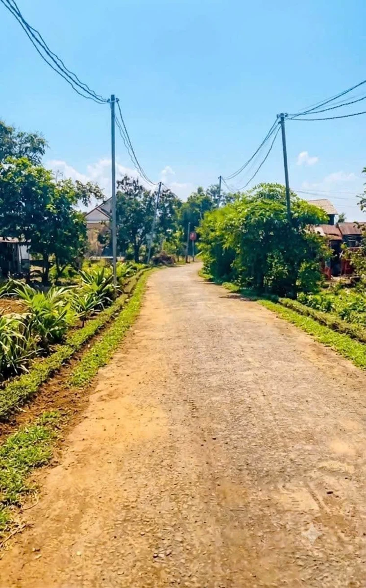 Bán đất 438m2 Xuân Phú Bình Chánh, giá trên 700 triệu - Ảnh thu nhỏ 2
