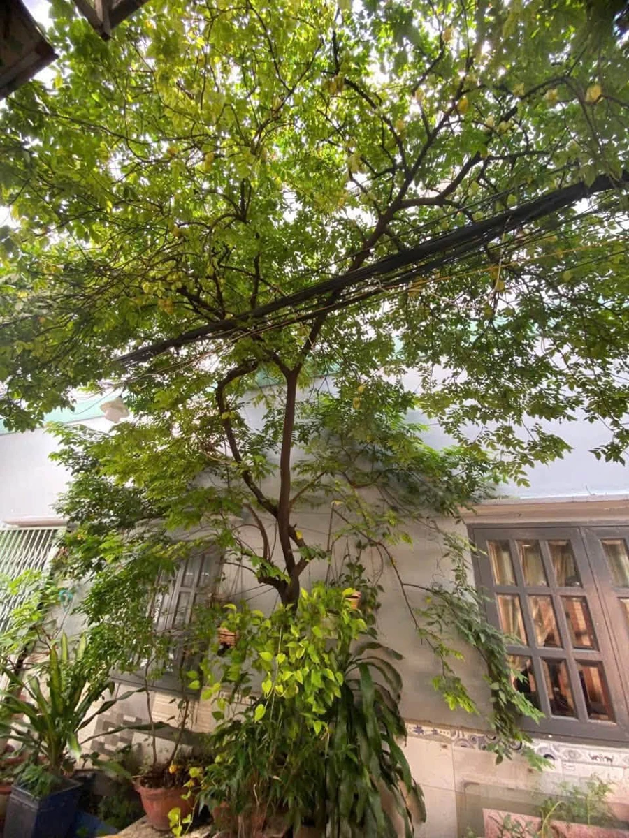 Bán nhà phố 4PN 150m² gần Đầm Sen, Quận 6 - 4,9 tỷ - Ảnh thu nhỏ 4