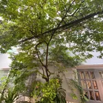 Bán nhà phố 4PN 150m² gần Đầm Sen, Quận 6 - 4,9 tỷ - Ảnh thu nhỏ 4