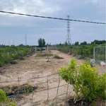 Bán đất vườn 500m² Bình Đức, Bến Lức, Long An 525 triệu - Ảnh thu nhỏ 1